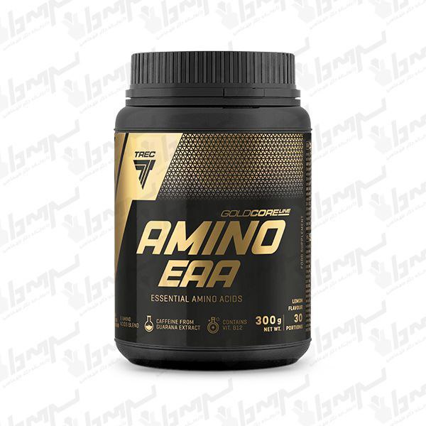 پودر آمینو EAA گلد کر لاین ترک نوتریشن 300 گرم